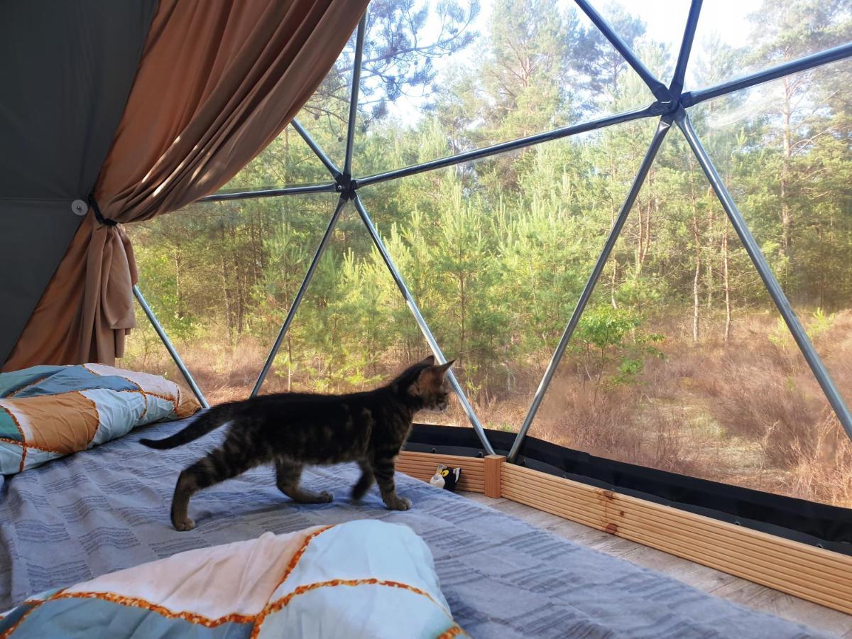 Podniebny Glamping Otel Borsk Dış mekan fotoğraf