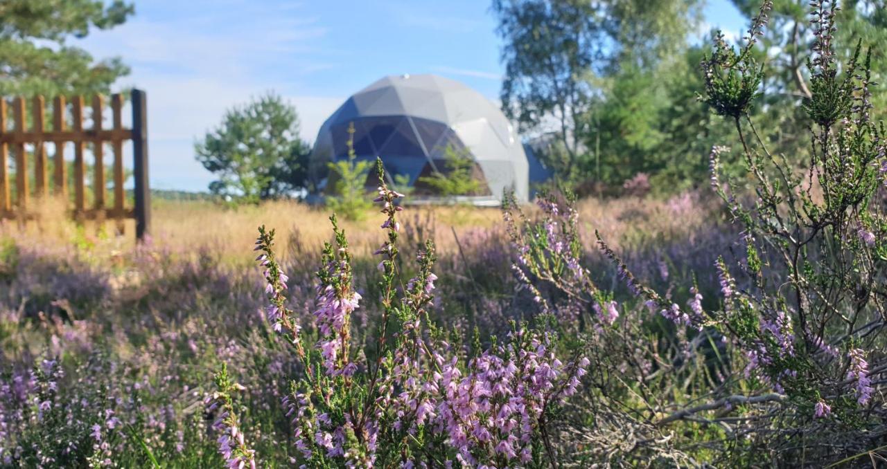 Podniebny Glamping Otel Borsk Dış mekan fotoğraf